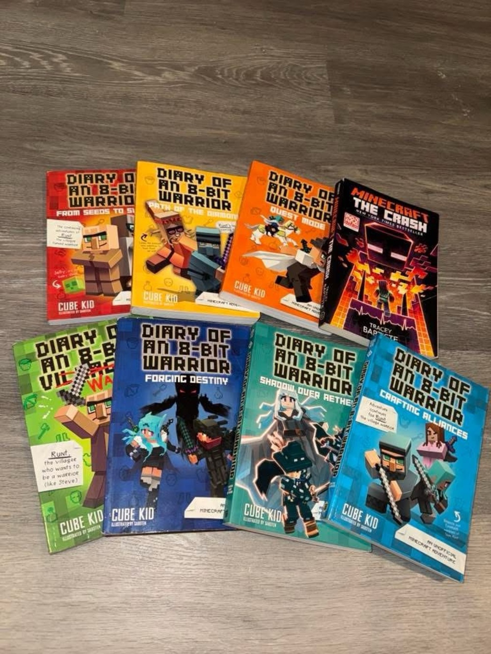 Minecraft Cube Kid books